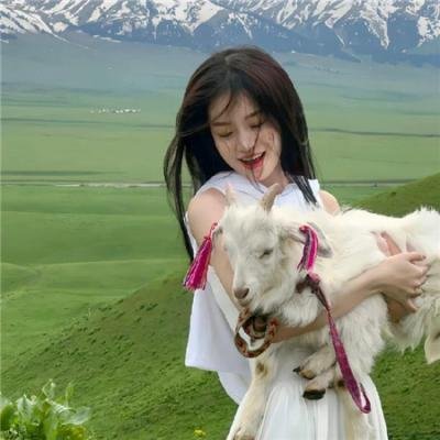 掘金已死:圣诞故事 在线观看